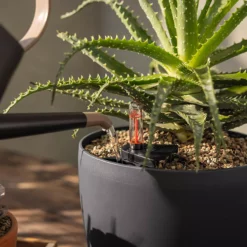 LECHUZA Substrat Basic-PON, 12 Liter -Gartenbedarf Verkaufsladen lechuza substrat basic pon 12 liter 1613040 de