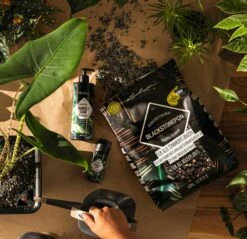 LECHUZA Substrat Blackstone-PON, 18 Liter