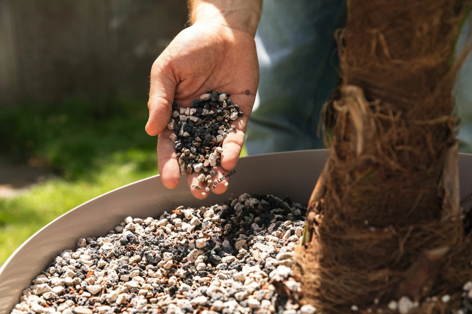 LECHUZA Substrat Palm-PON, 25 Liter 2 LECHUZA Substrat Palm-PON, 25 Liter – Bild 2