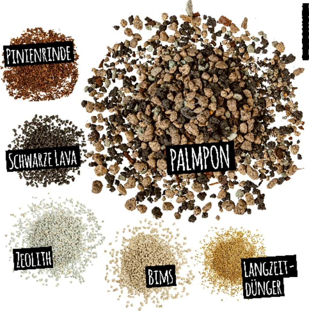 LECHUZA Substrat Palm-PON, 25 Liter 4 LECHUZA Substrat Palm-PON, 25 Liter – Bild 4