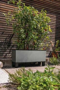 LECHUZA Pflanzgefäß TRIO "Stone" 40, Steingrau -Gartenbedarf Verkaufsladen lechuza trio stone 40 komplett set 1143264 de