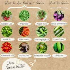 Bio Gemüsesamen Set 8 Bio Gemüsesamen Set -Gartenbedarf Verkaufsladen loveplants bio gemuesesamen set 1546969 de
