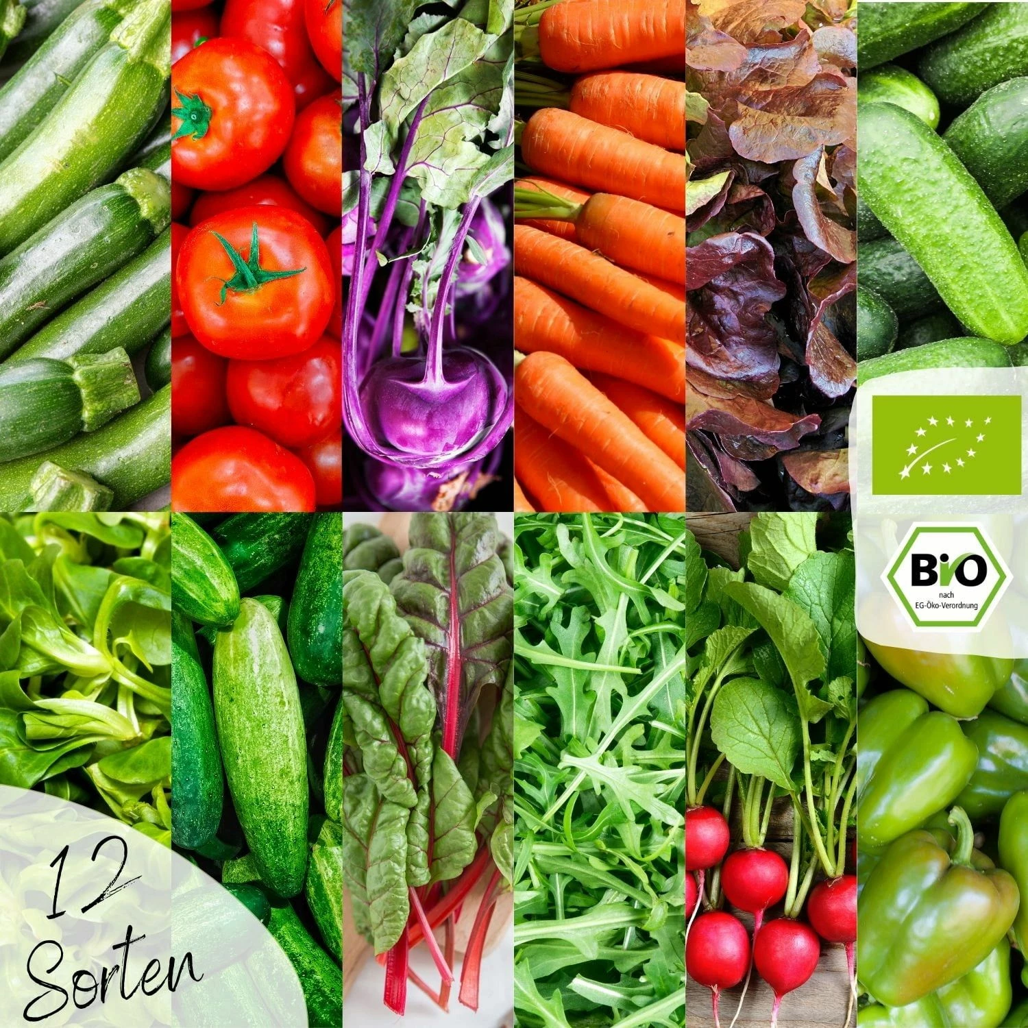 Bio Gemüsesamen Set 3 Bio Gemüsesamen Set – Bild 3