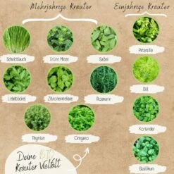 Bio Kräutersamen Set -Gartenbedarf Verkaufsladen loveplants bio kraeutersamen set 1546989 de