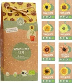 Bio Sonnenblumen Samen Set -Gartenbedarf Verkaufsladen loveplants bio sonnenblumen samen set 1 set 1550312 de