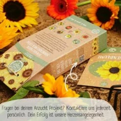 Bio Sonnenblumen Samen Set -Gartenbedarf Verkaufsladen loveplants bio sonnenblumen samen set 1682932 de