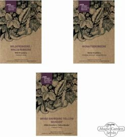 Alte Erdbeersorten - Samenset -Gartenbedarf Verkaufsladen magic garden seeds alte erdbeersorten samenset 1 set 1293430 de