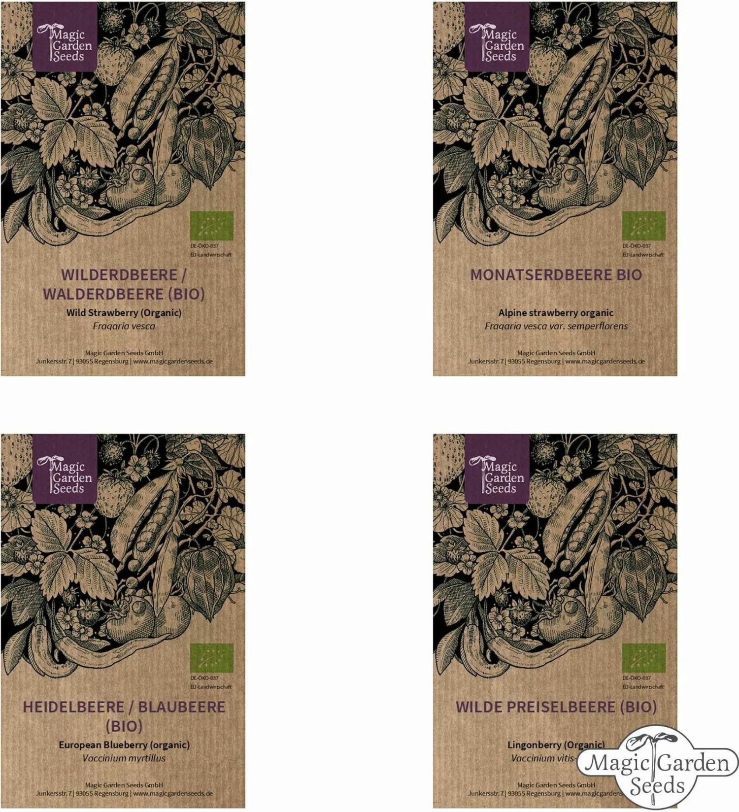 Bio Beeren-Naschgarten , Samenset 5 Bio Beeren-Naschgarten , Samenset – Bild 5