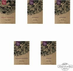 Essbare Wildpflanzen - Samenset 11 Essbare Wildpflanzen - Samenset -Gartenbedarf Verkaufsladen magic garden seeds essbare wildpflanzen samenset 1 set 1306880 de
