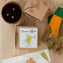 Anzuchtset "Popcorn Mais" 7 Anzuchtset "Popcorn Mais" -Gartenbedarf Verkaufsladen naturkraftwerk anzuchtset popcorn mais 1 st 1667812 de