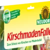 Kirschmadenfalle, 7 Stück