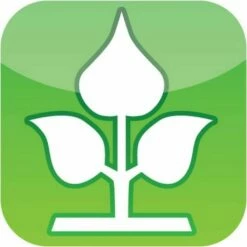 Hochbeet Weide Inkl. Pflanztasche