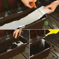 Balkonblumen Hängend - Saatgut-Teppiche -Gartenbedarf Verkaufsladen own grown balkonblumen haengend saatgut teppiche 1 paket 1684307 de