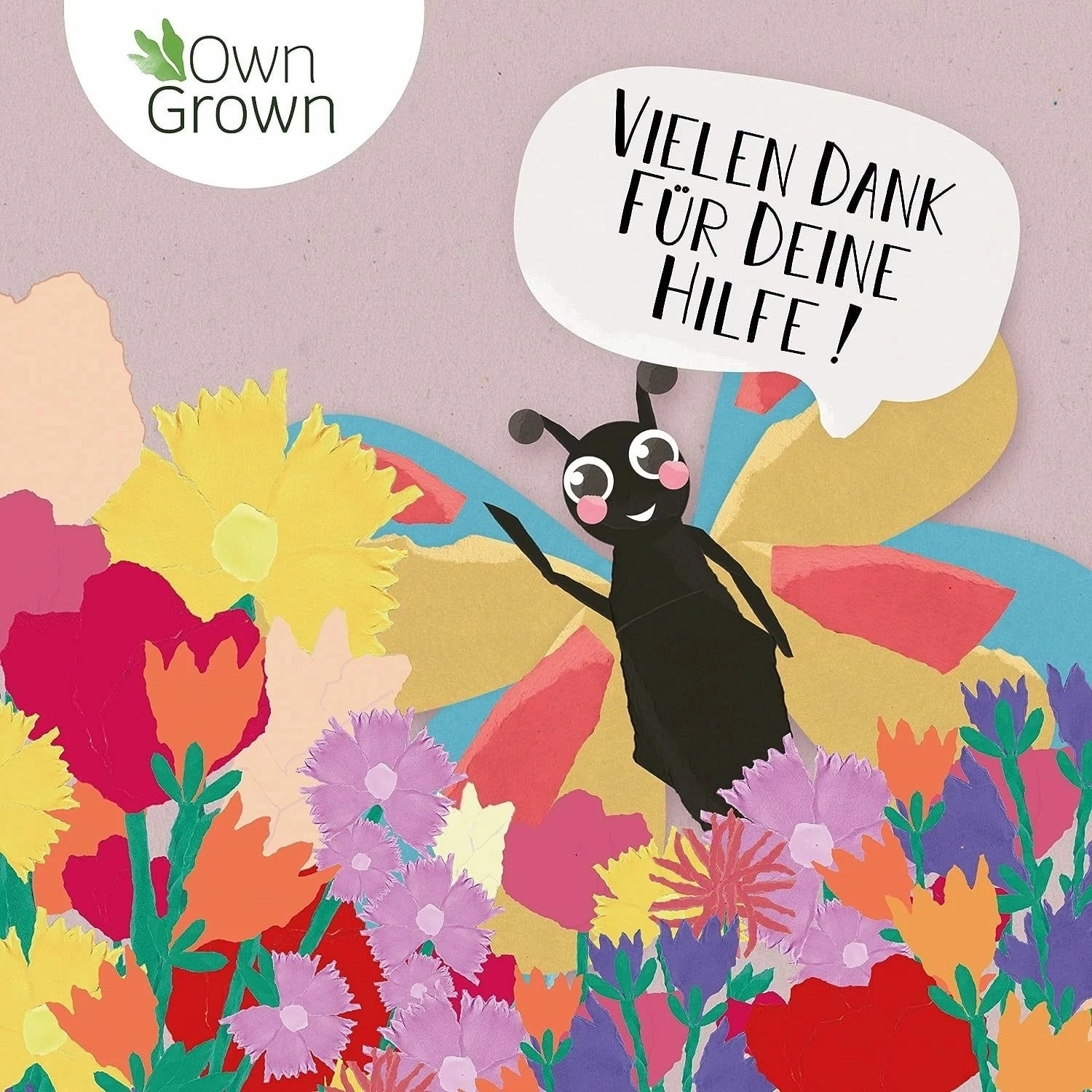 Blumenmischung "Schmetterlingstreff" 3 Blumenmischung "Schmetterlingstreff" – Bild 3