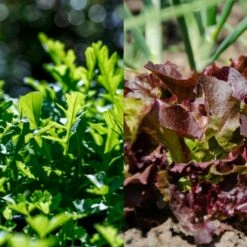 Garten-Helden 10er Set -Gartenbedarf Verkaufsladen own grown garten helden 10er set 1679581 de