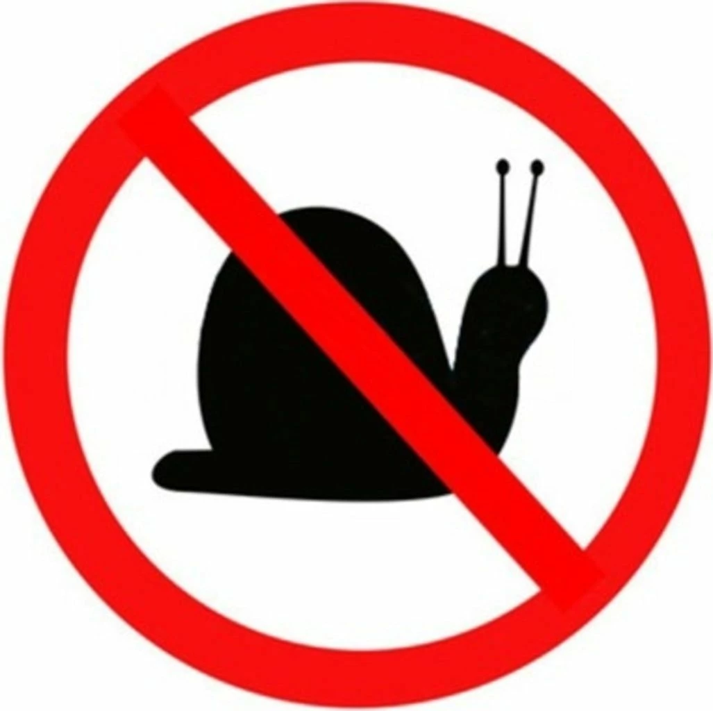 Hochbeet Edelrost "Optimus", 200 X 100 Cm 5 Hochbeet Edelrost "Optimus", 200 X 100 Cm – Bild 5