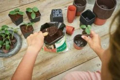 12 Kunststofftöpfe9 Cm Quadr., Schwarz 6 12 Kunststofftöpfe9 Cm Quadr., Schwarz -Gartenbedarf Verkaufsladen romberg 12 kunststofftoepfe 9 cm quadr schwarz 1 st 906024 de