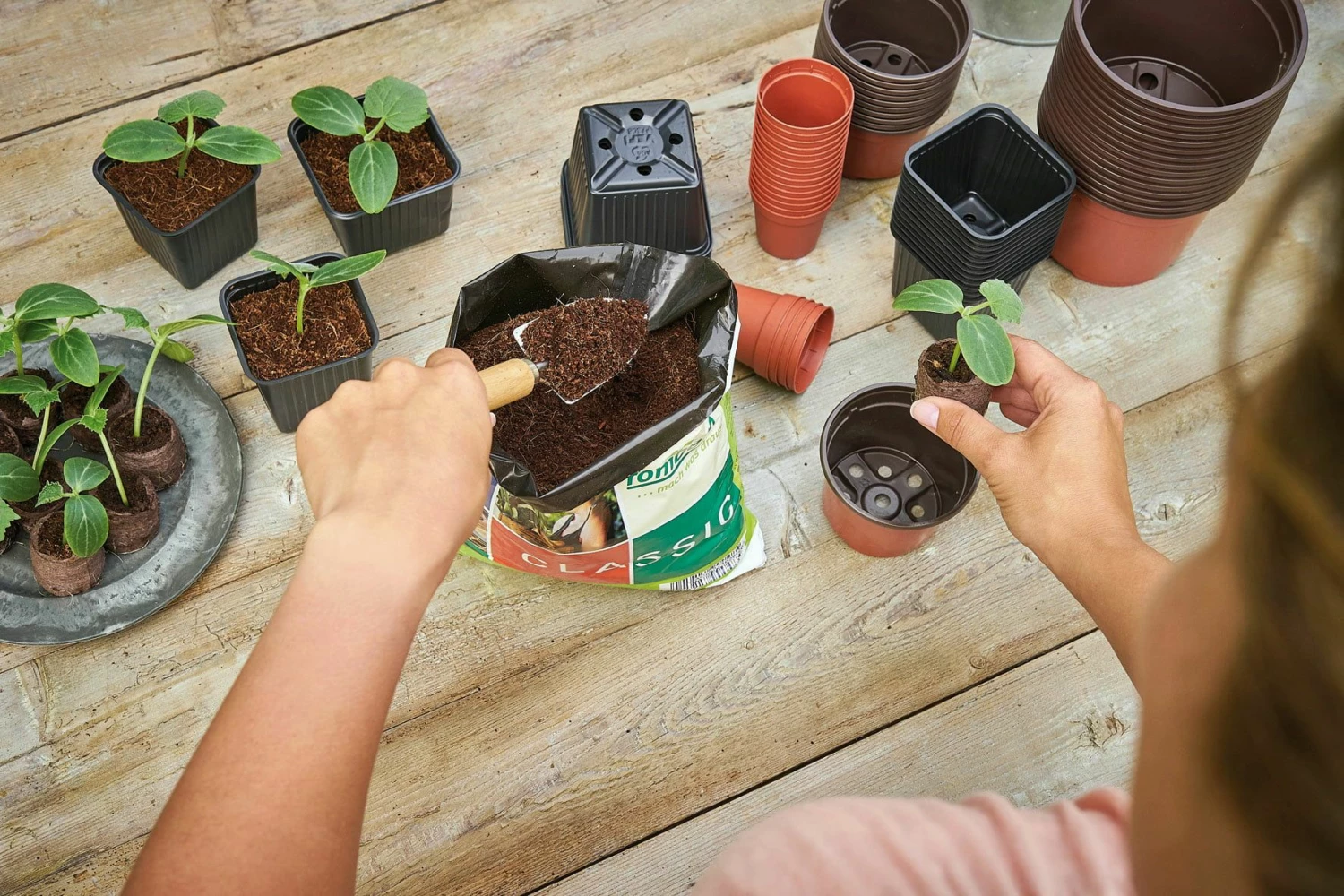 12 Kunststofftöpfe9 Cm Quadr., Schwarz 3 12 Kunststofftöpfe9 Cm Quadr., Schwarz – Bild 3