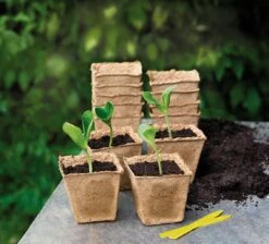 Gazebo Parts Direct Sales Store -Gartenbedarf Verkaufsladen romberg 14 anzuchttoepfe 8 cm quadratisch 1 paket 1668654 de