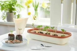 Anzuchtschale S BOQUBE Creme-Kupferbraun