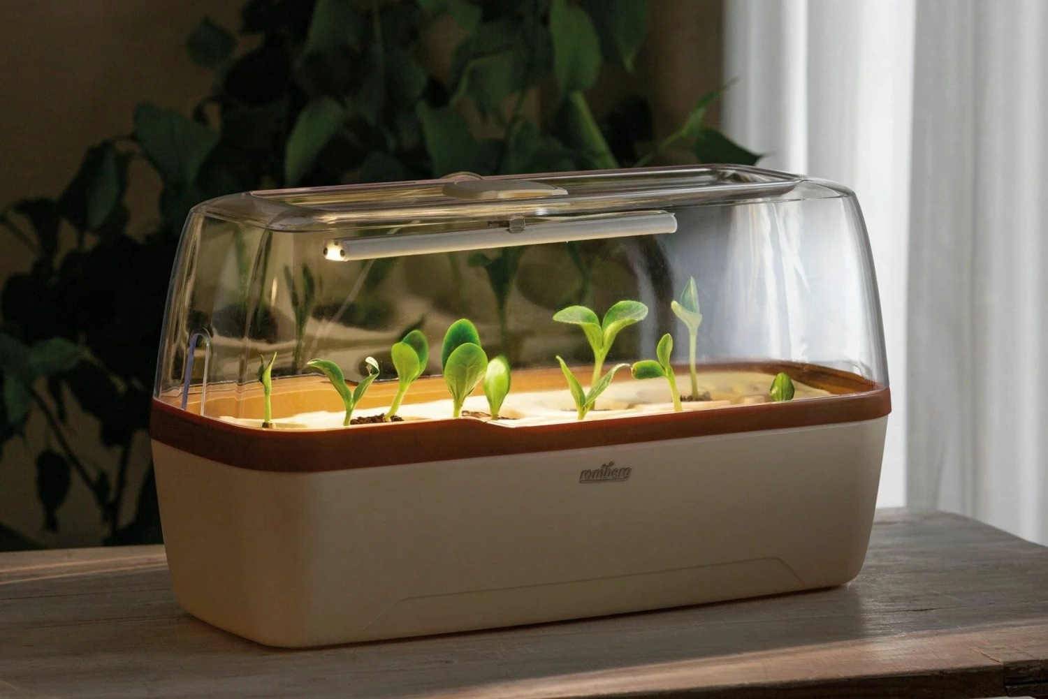 Gewächshaus & Pflanzkasten BoQube L PLUS LED - Creme-Kupferbraun 3 Gewächshaus & Pflanzkasten BoQube L PLUS LED - Creme-Kupferbraun – Bild 3