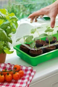 6 Kokos-Quelltabletten, Ø 70 Mm, 6 Stück -Gartenbedarf Verkaufsladen romberg classic kokos quelltabletten oe 70 mm 6 st 909383 de