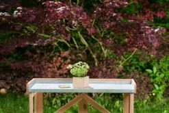 Holz-Anzuchtkasten Inkl. Erde, 11 X 11 X 9 Cm -Gartenbedarf Verkaufsladen romberg holz anzuchtkasten inkl erde 11 x 11 x 9 cm 1559552 de