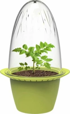 Mini – Anzuchttöpfe