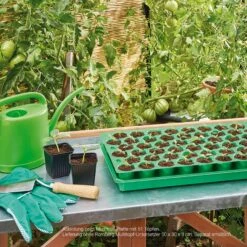 Multitopf-Platte 73 Töpfe - 50x30 Cm