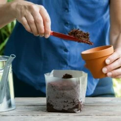 POP UP BOX Anzucht-Erde - 5 X 1 Liter -Gartenbedarf Verkaufsladen romberg pop up box anzucht erde 5 x 1 liter 1664254 de