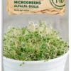 Bio Keimsprossen/Microgreens - Alfalfa Giulia