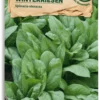 Bio Spinat "Winterriesen"
