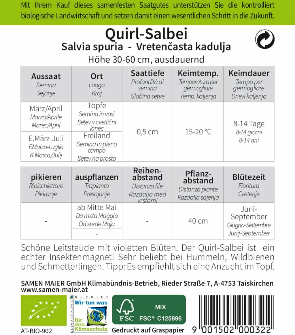 Bio Wildblume Quirl-Salbei 2 Bio Wildblume Quirl-Salbei – Bild 2