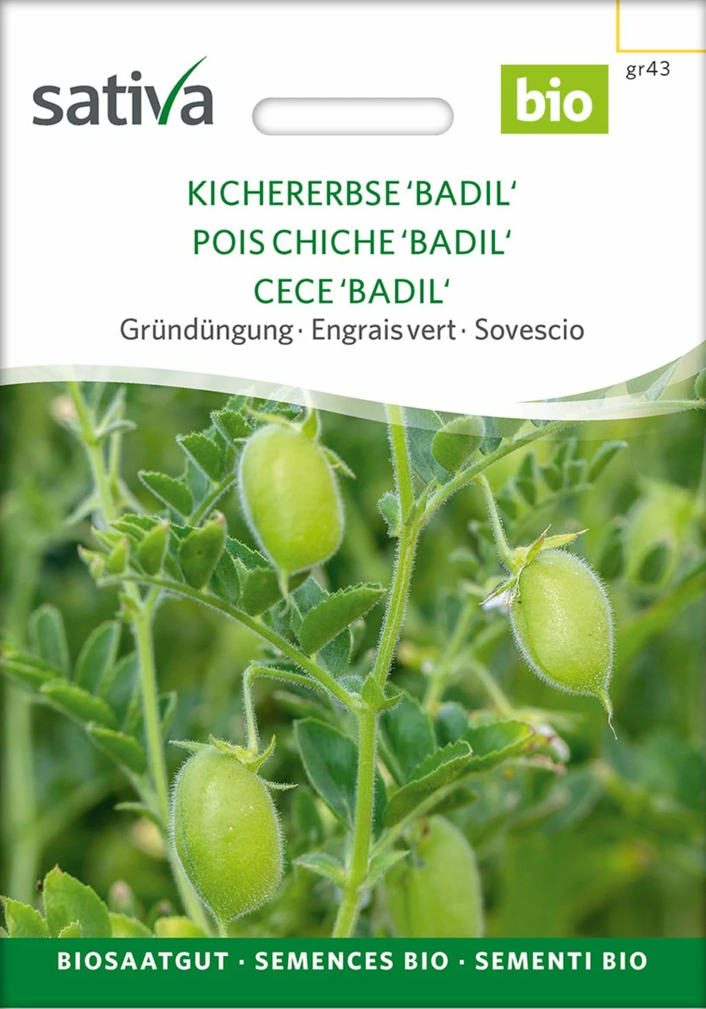 Bio Gründüngung "Kichererbse Badil" 2 Bio Gründüngung "Kichererbse Badil" – Bild 2