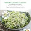 Bio Keimsprossen "Grünkohl"