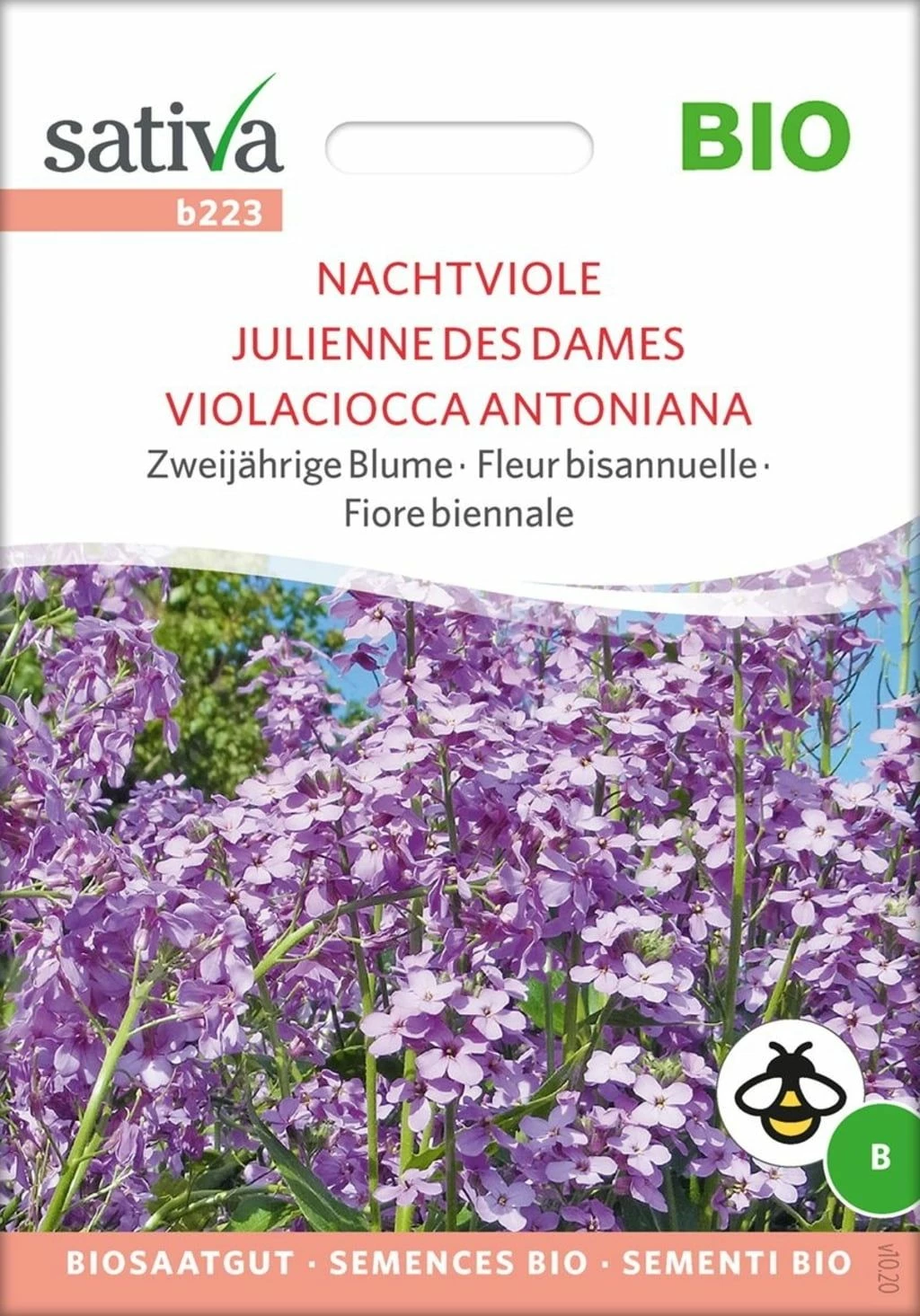 Bio Zweijährige Blume "Nachtviole" 1 Bio Zweijährige Blume "Nachtviole"
