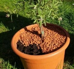 Bio-Pflanz-Granulat Für Hochbeete, Balkon- & Kübelpflanzen, 12,50 L -Gartenbedarf Verkaufsladen seramis bio pflanz granulat fuer hochbeete balkon kuebelpflanzen 1680382 de