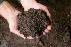 Bio Schwarzerde Im Big Bag AKTION, 1 Tonne + GRATIS Heuballen