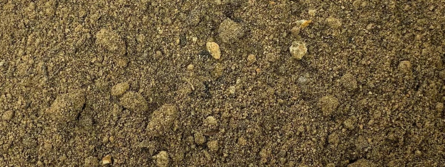 Wiesenhumus Im Big Bag, 1 Tonne 2 Wiesenhumus Im Big Bag, 1 Tonne – Bild 2