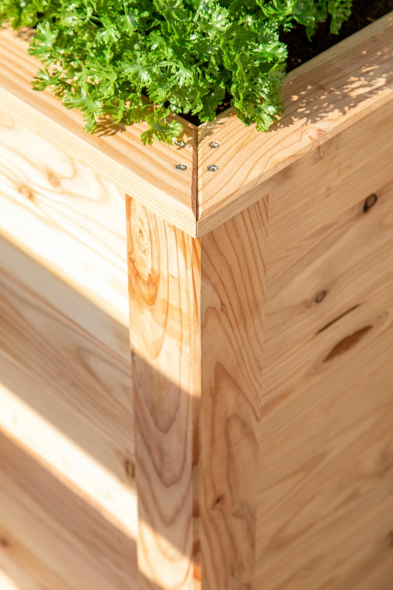 Hochbeet Lärche, 100 1 Hochbeet Lärche, 100