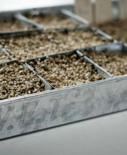 Anzuchtplatte Mit 70 Einzeltöpfen - Verzinkt