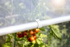 Windhager Ersatzclip Für Tomatenhaus Alustar -Gartenbedarf Verkaufsladen windhager ersatzclip fuer tomatenhaus alustar 1 set 1670524 de