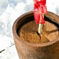 Windhager Mulchscheibe Cocodisc, 25 Cm -Gartenbedarf Verkaufsladen windhager mulchscheibe cocodisc 1209372 de