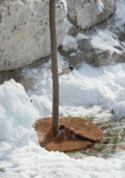 Windhager Mulchscheibe Cocodisc, 25 Cm -Gartenbedarf Verkaufsladen windhager mulchscheibe cocodisc 1661782 de