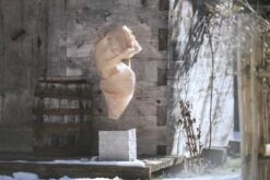 Windhager Winter-Vlies Aktion 2+1 GRATIS - 5x1,5m