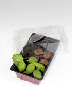 Windhager Zimmer-Treibhaus Mini Mit 8x Quelltabs -Gartenbedarf Verkaufsladen windhager zimmer treibhaus mini mit 8x quelltabs 1 st 1668885 de